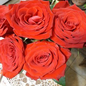 Meet your Posher, Christine